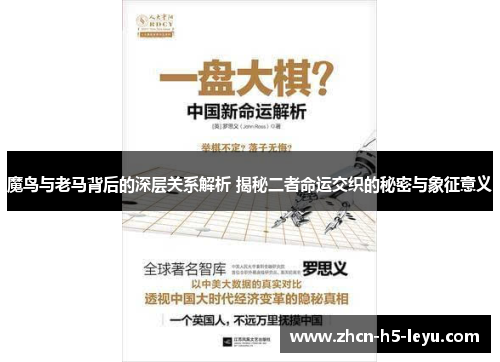 魔鸟与老马背后的深层关系解析 揭秘二者命运交织的秘密与象征意义