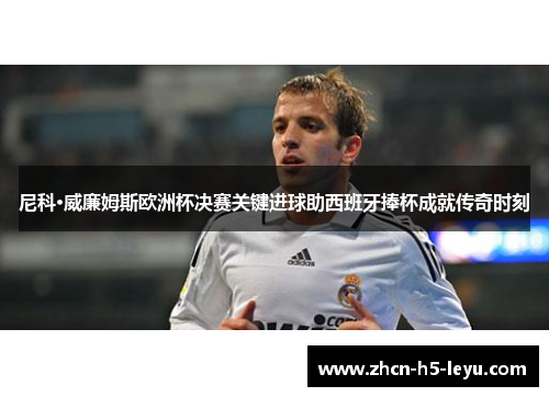 尼科·威廉姆斯欧洲杯决赛关键进球助西班牙捧杯成就传奇时刻 尼科·威廉姆斯欧洲杯决赛关键进球助西班牙捧杯成就传奇时刻